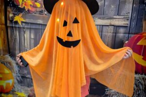 20251030_141849 (1) 20251030_141849 (1)