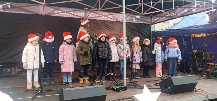 Króliczki na Jarmarku