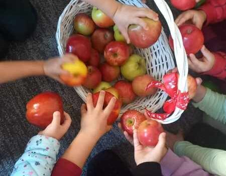 🍎 Dzień Jabłka w Tygryskach! 🍎