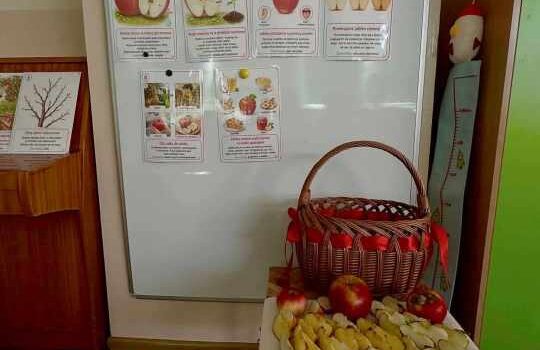 🍏🍎Dzień Jabłka u Króliczków 🍎🍏